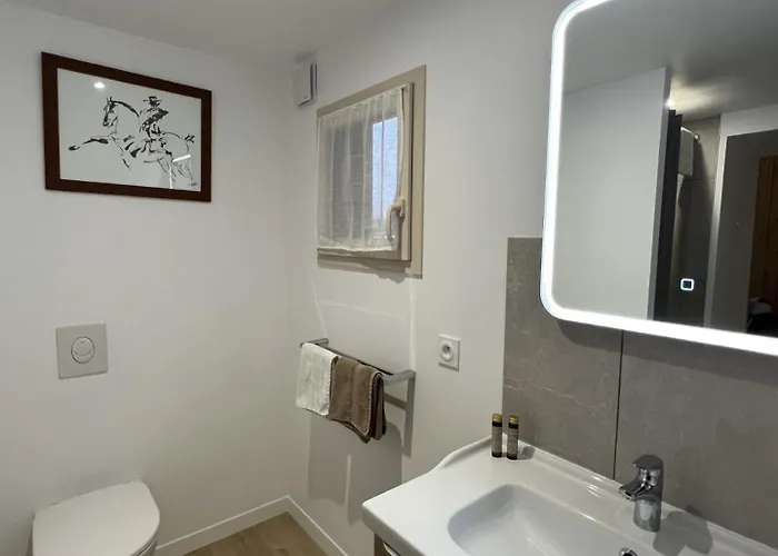 Bed & Breakfast Au Logis De Bellefois - D'hotes Neuville-de-Poitou